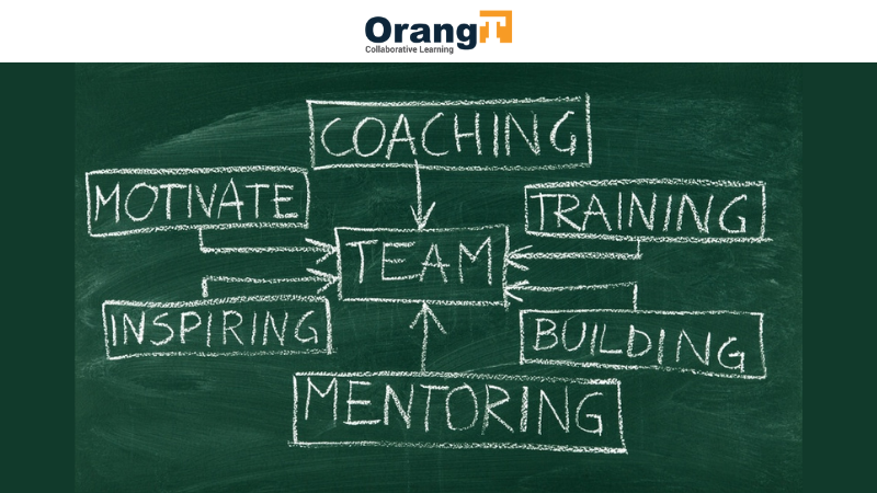 Pahami Perbedaan Mentoring And Coaching | OrangT